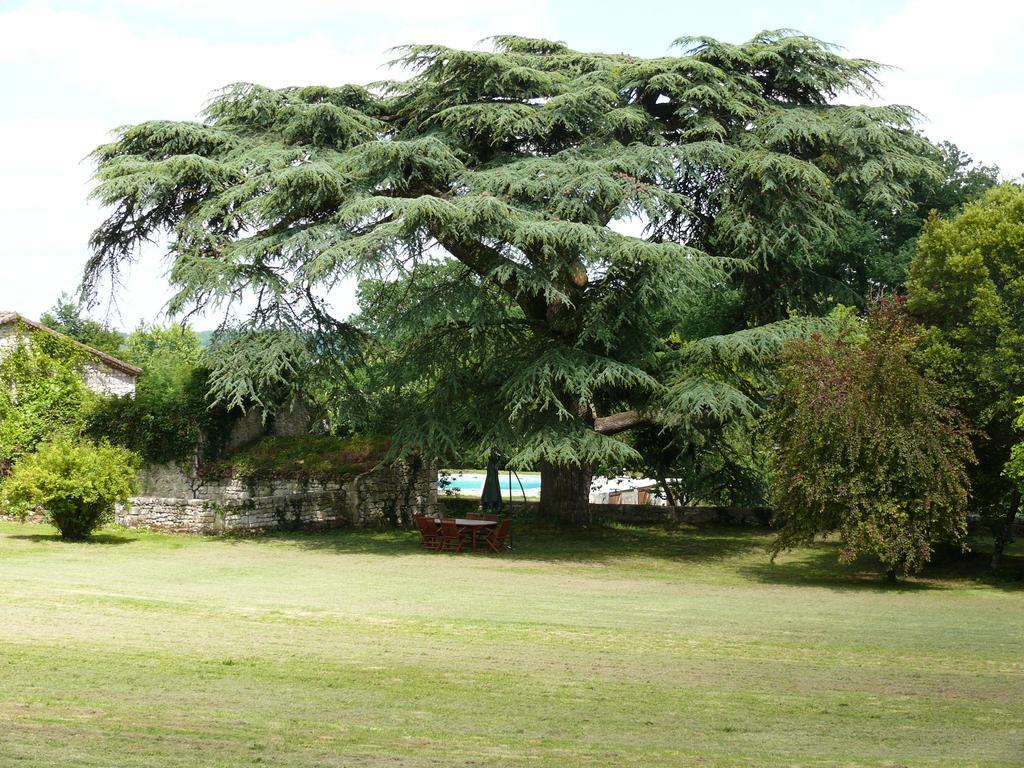 Domaine De Lamassas Panzió Hautefage-la-Tour Kültér fotó